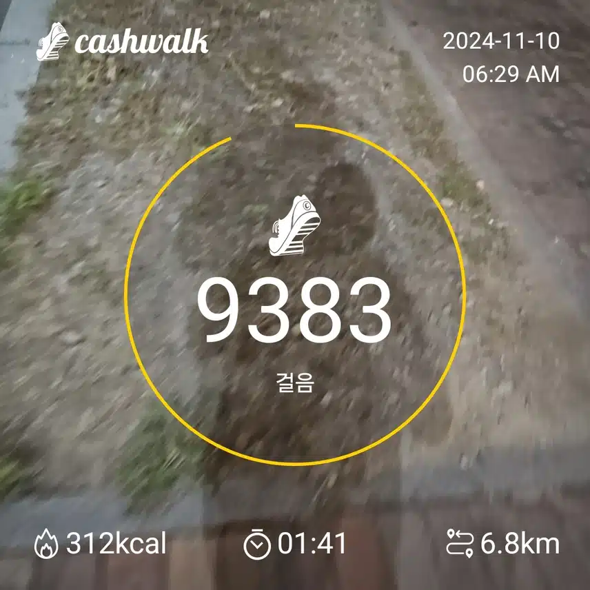 인증