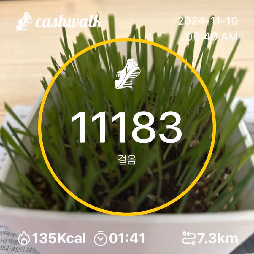 인증