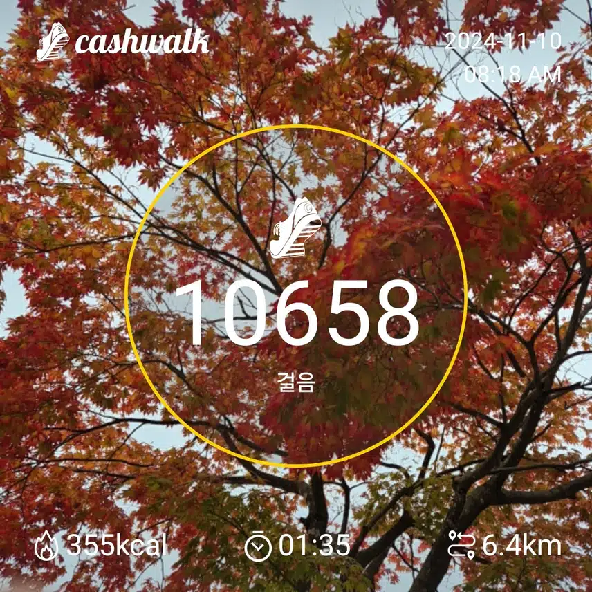 인증