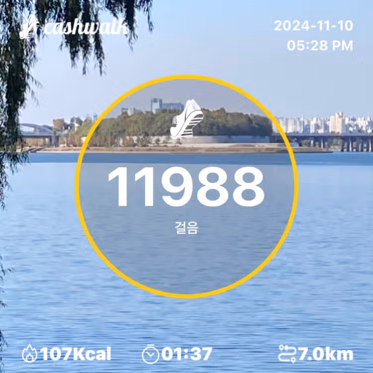 걷기 인증