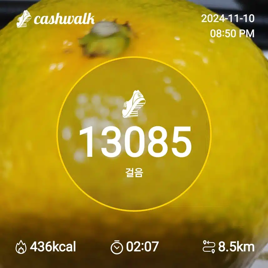 인증