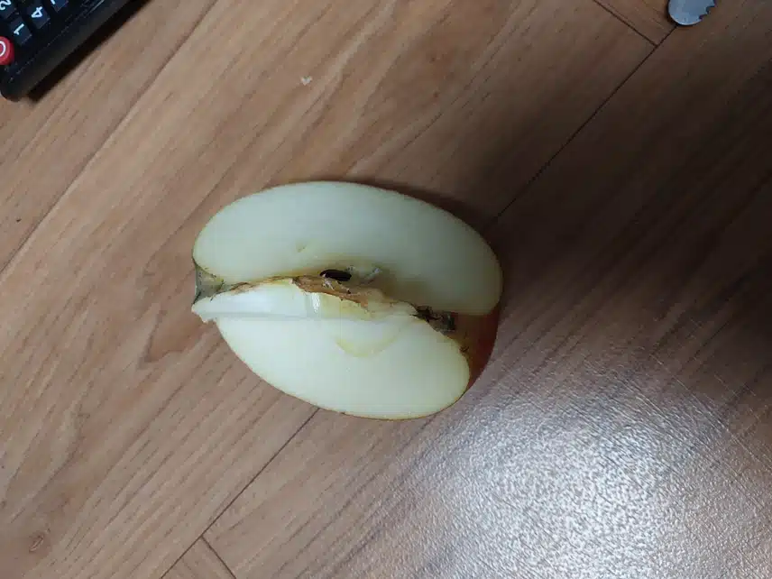 사과