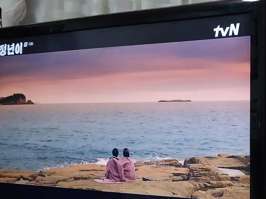 다시 국극한다는 정년이 소리를 해야만 숨쉴수있다는정년이