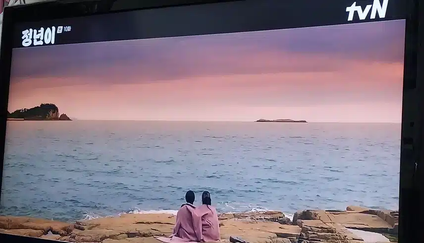다시 국극한다는 정년이 소리를 해야만 숨쉴수있다는정년이