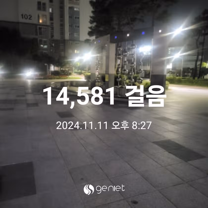 저녁식사 후 산책 나왔네요 