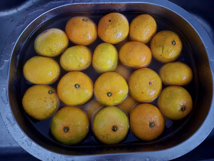 11/13(수)감귤 깨끗하게 세척해요~🍊