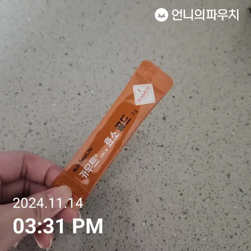 소화효소 