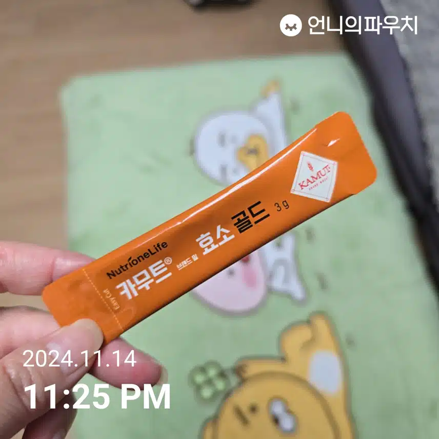 소화효소