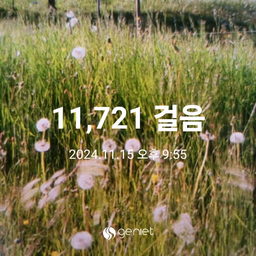 저녁식사 후 걷기 합니다.