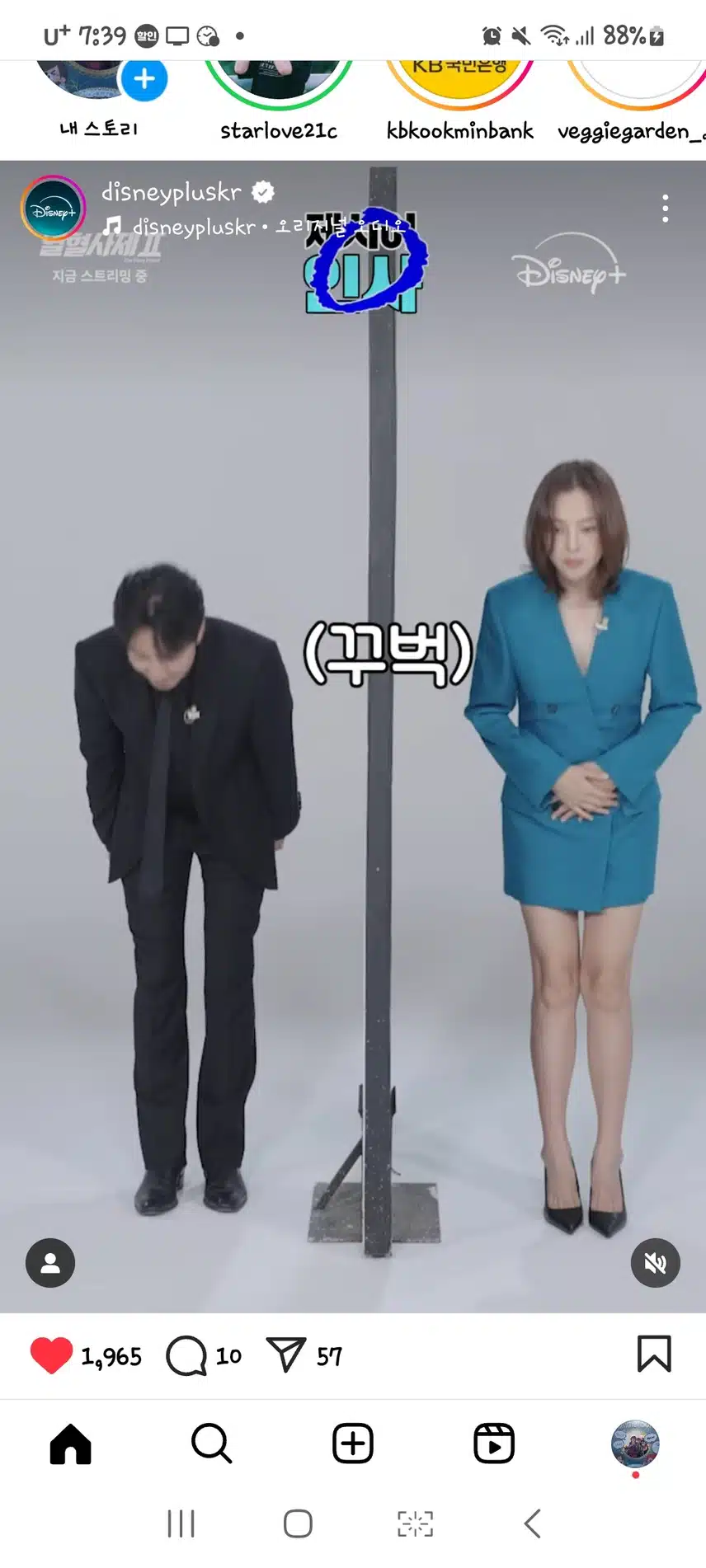 영혼의 단짝