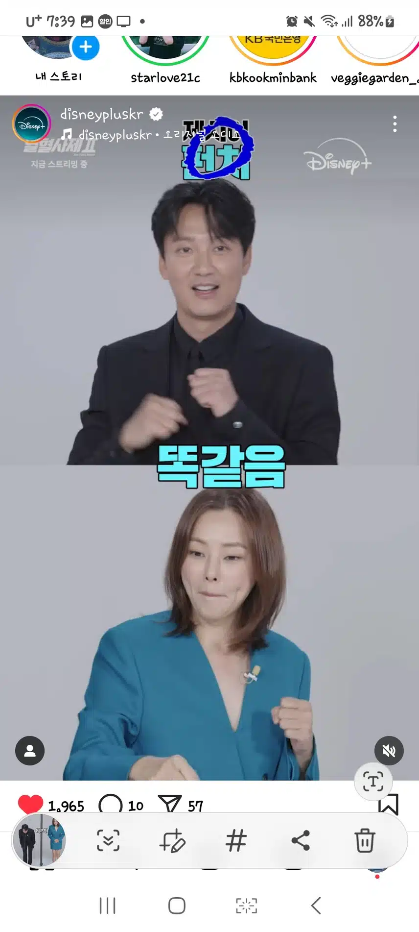 영혼의 단짝