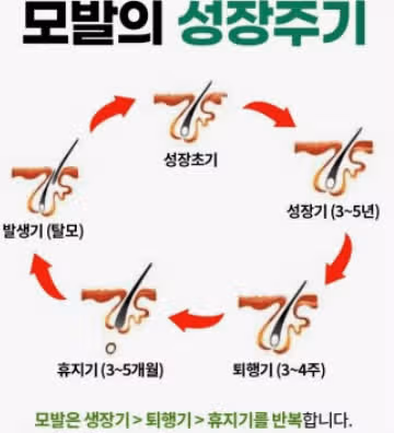 머리카락이 너무 많이 빠져서 무서울정도네요.