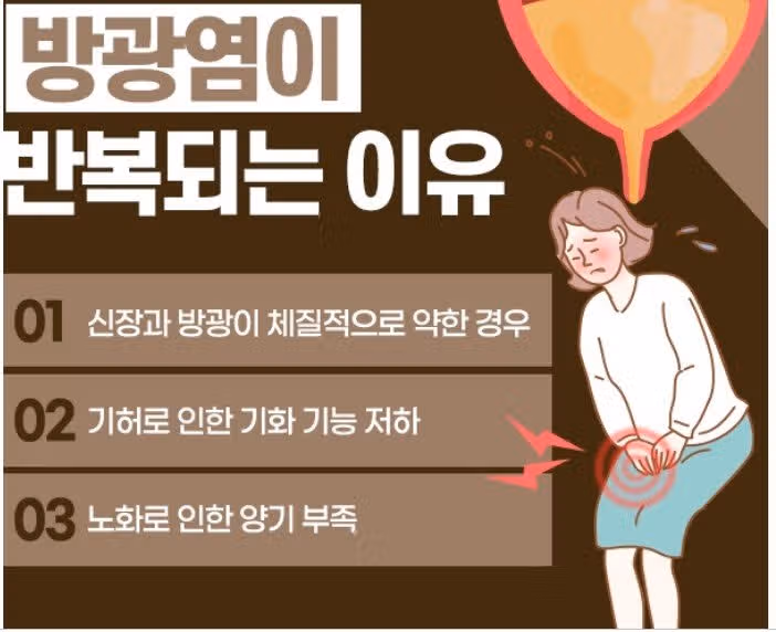 방광염으로 고생하다 병원에 방문