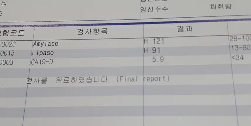 등쪽의 통증과 소화불량 증상으로 췌장암 검사 받은 후기.