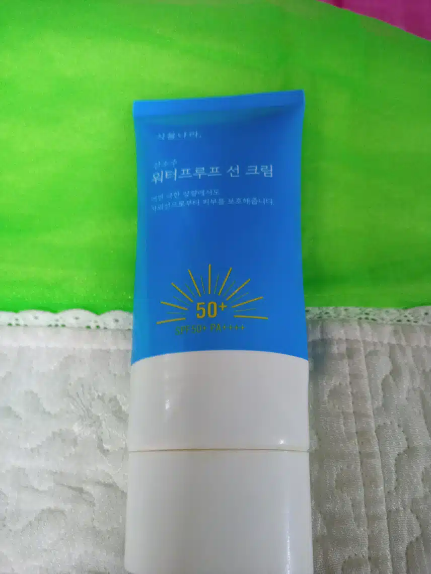 2회차