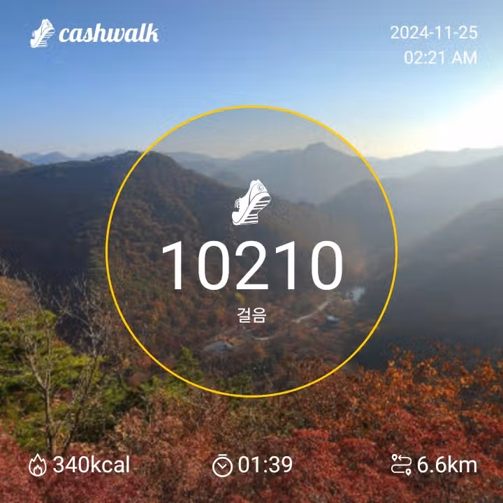 인증