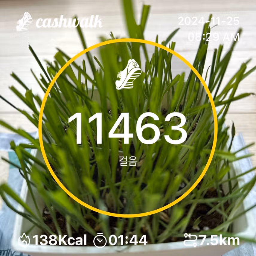 인증