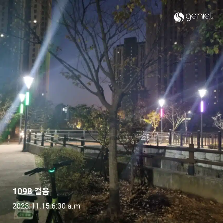 새벽걷기