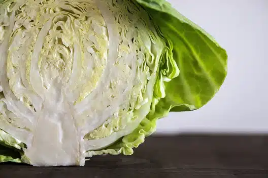 먹으면 살빠지는 마이너스 칼로리 푸드 5가지