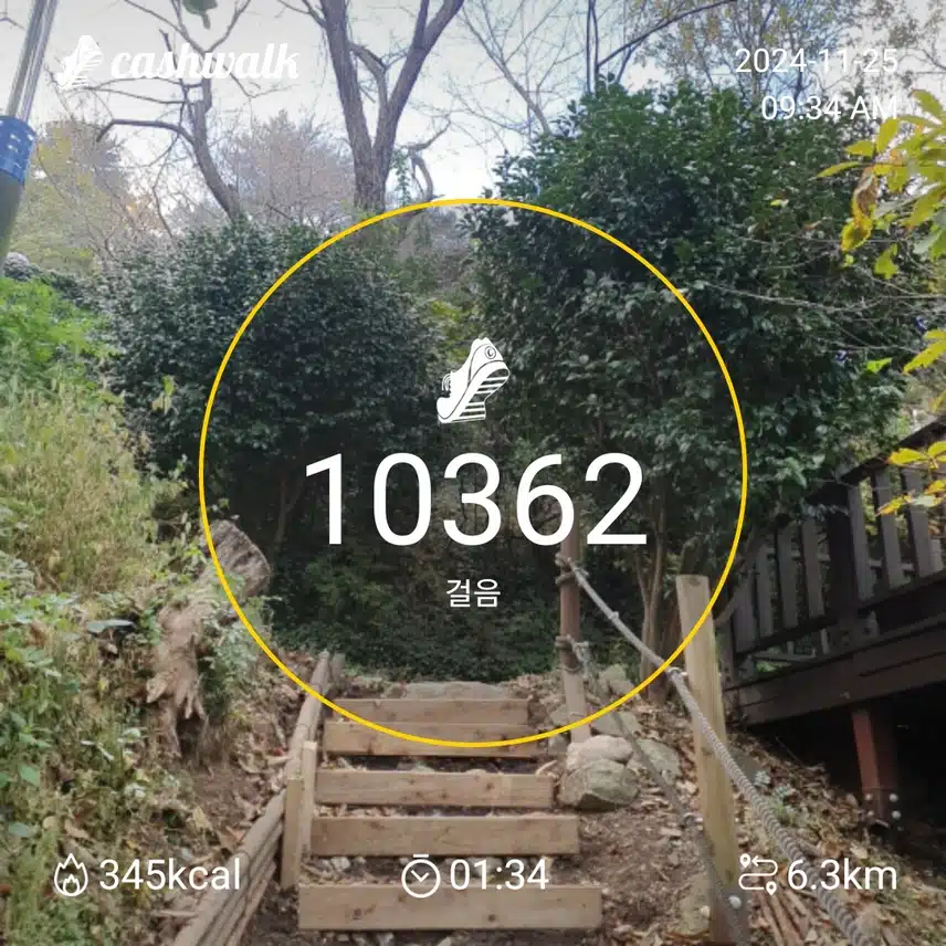1일차인증 