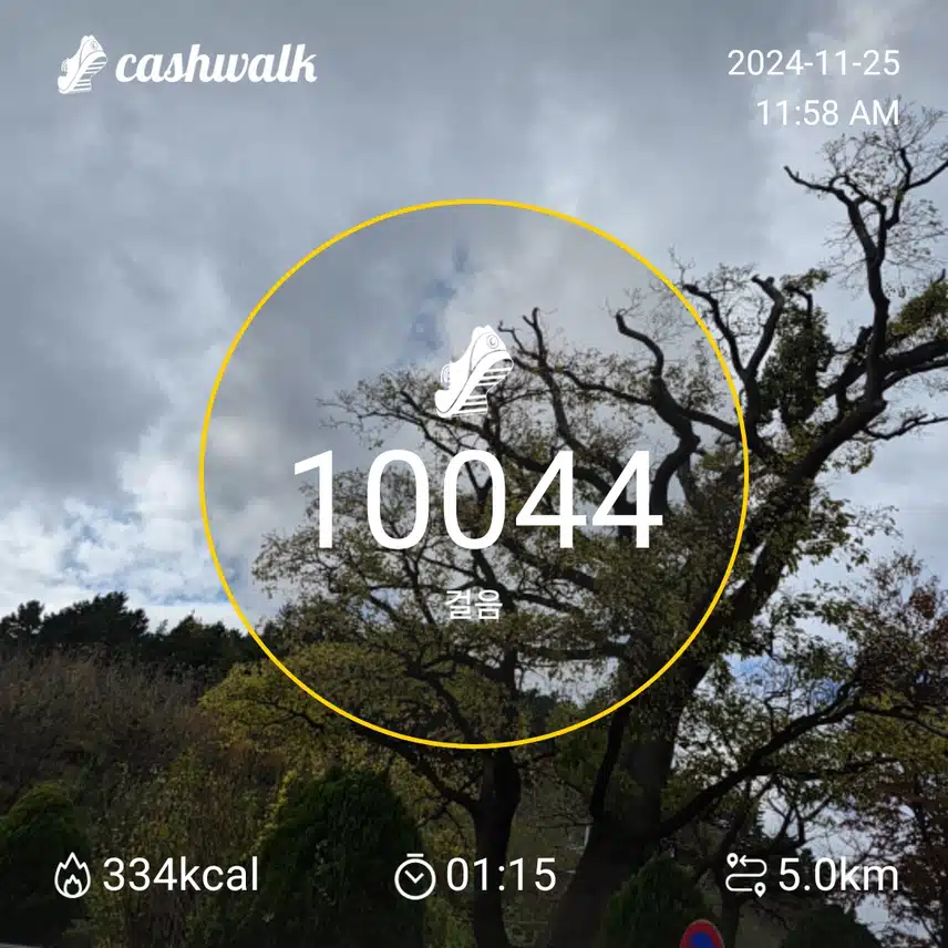 인증