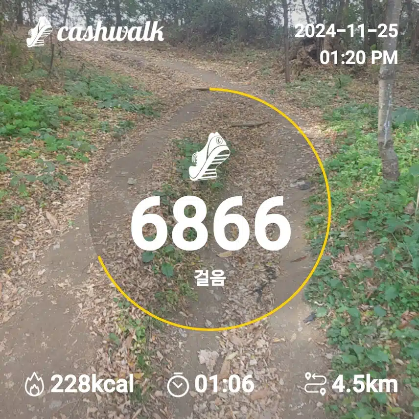 인증