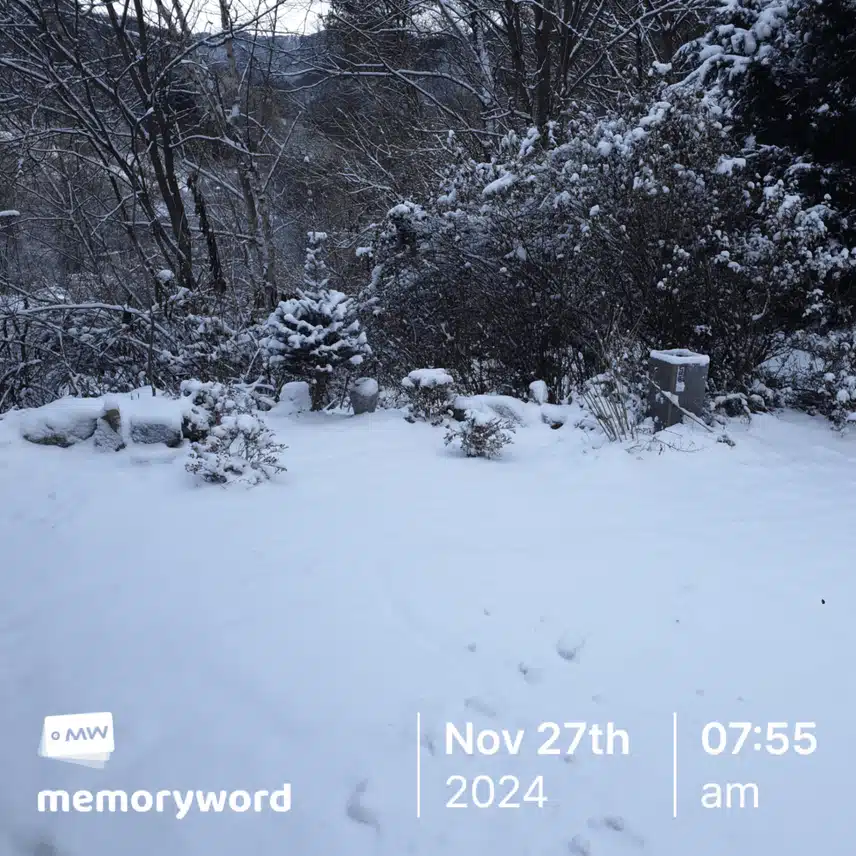 첫눈( First snow)