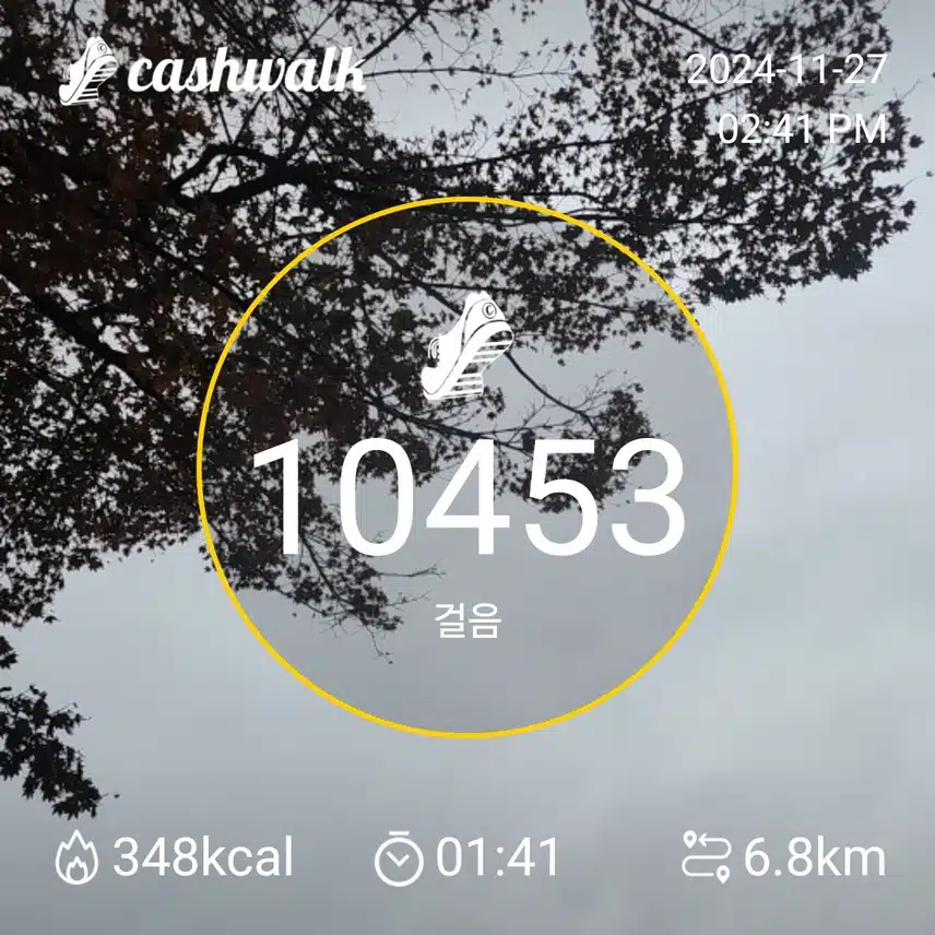 인증 