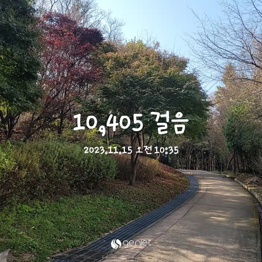현재 만보 완료^^