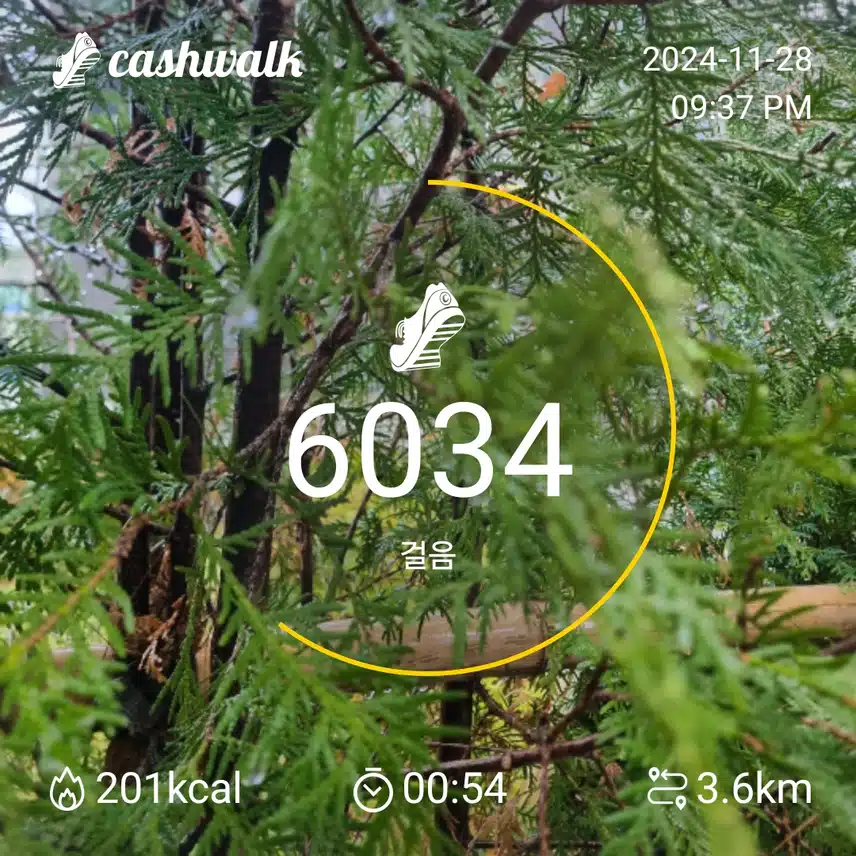 인증 