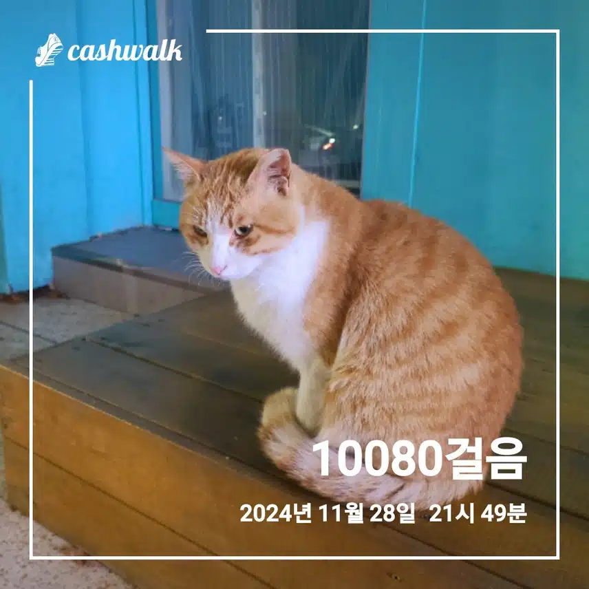인증