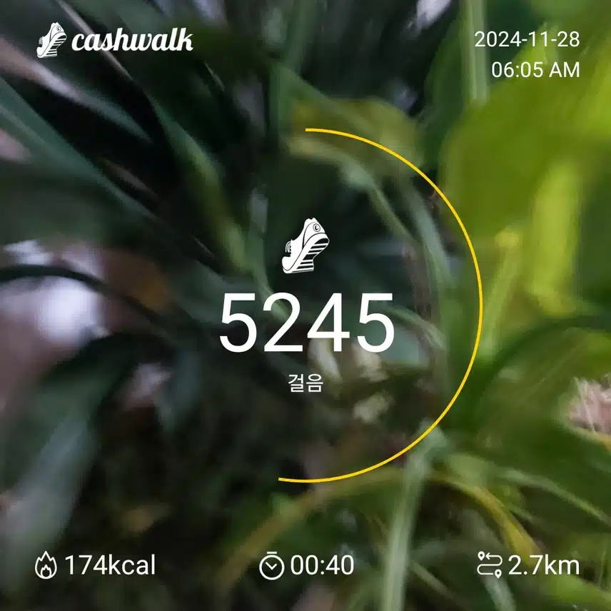 5000보걷기