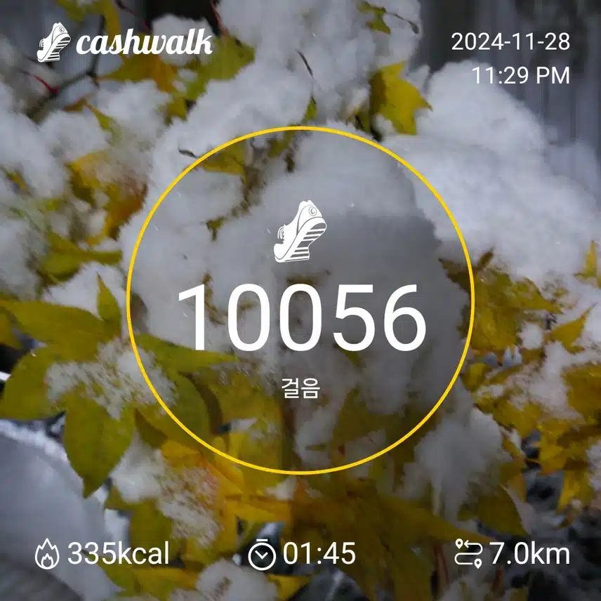 인증'