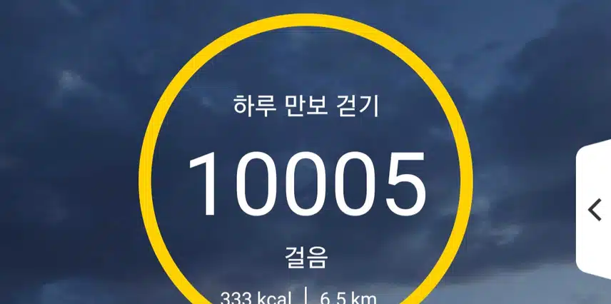 인증