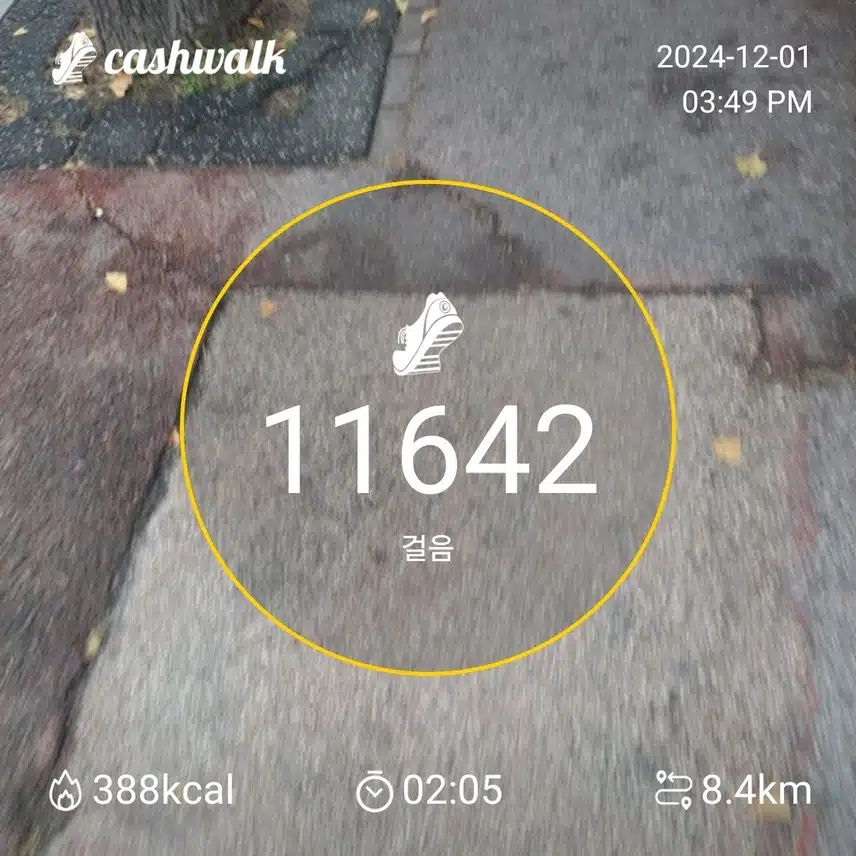 인증 