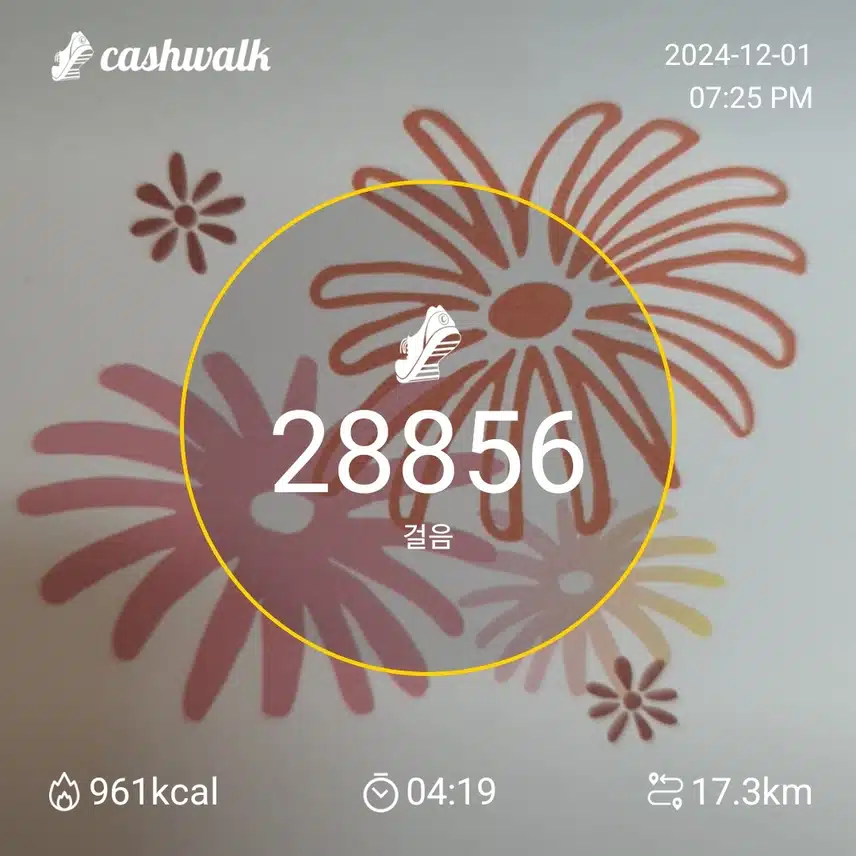 걷기인증 