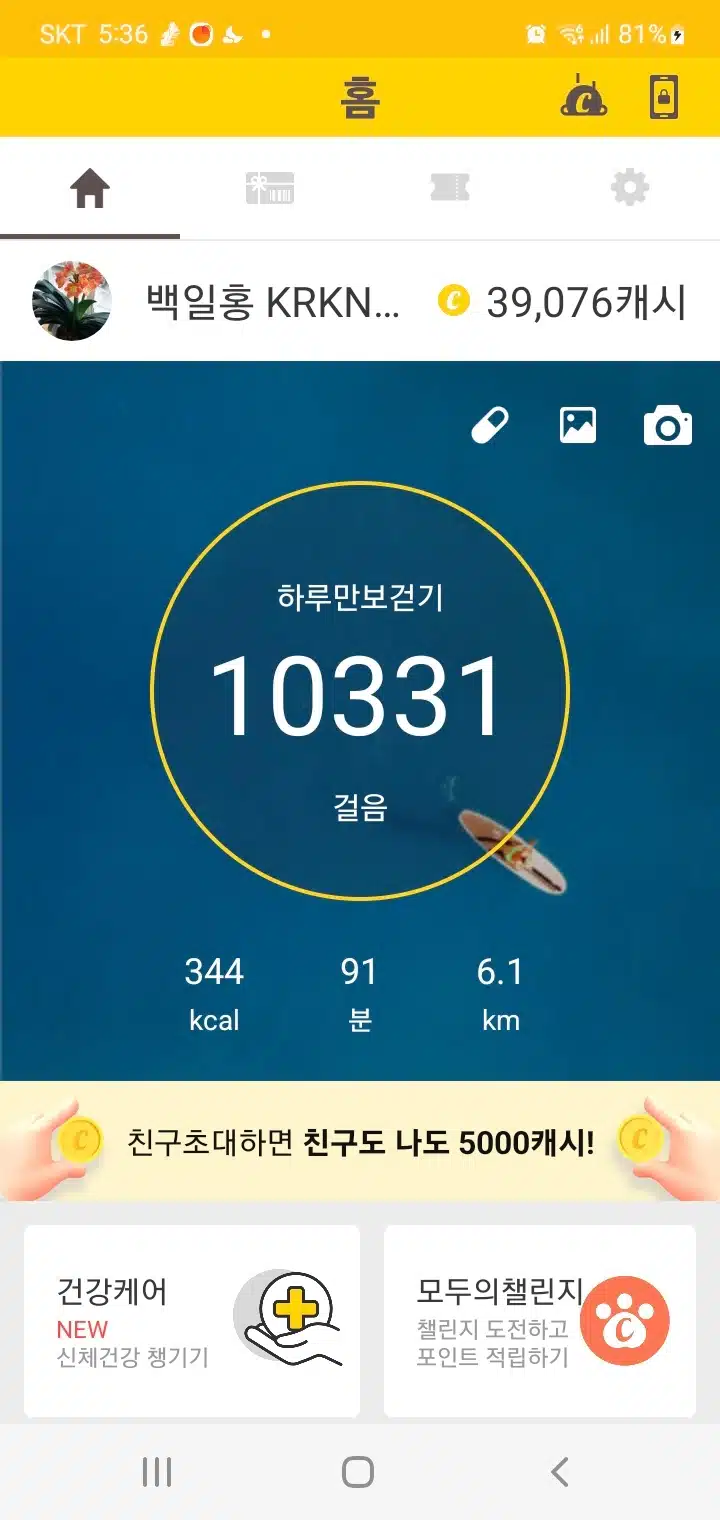 매일걷자