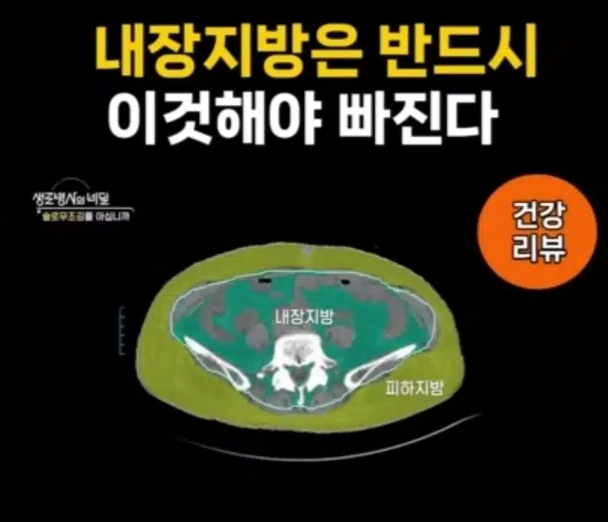 내장 지방은 반드시 이것해야 빠진다.!!!!