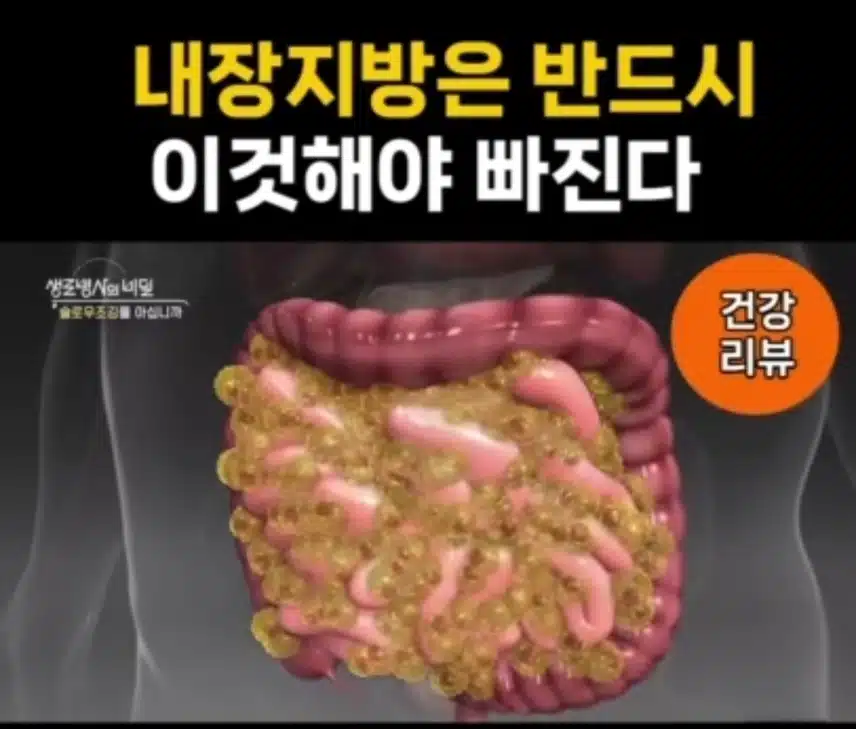 내장 지방은 반드시 이것해야 빠진다.!!!!