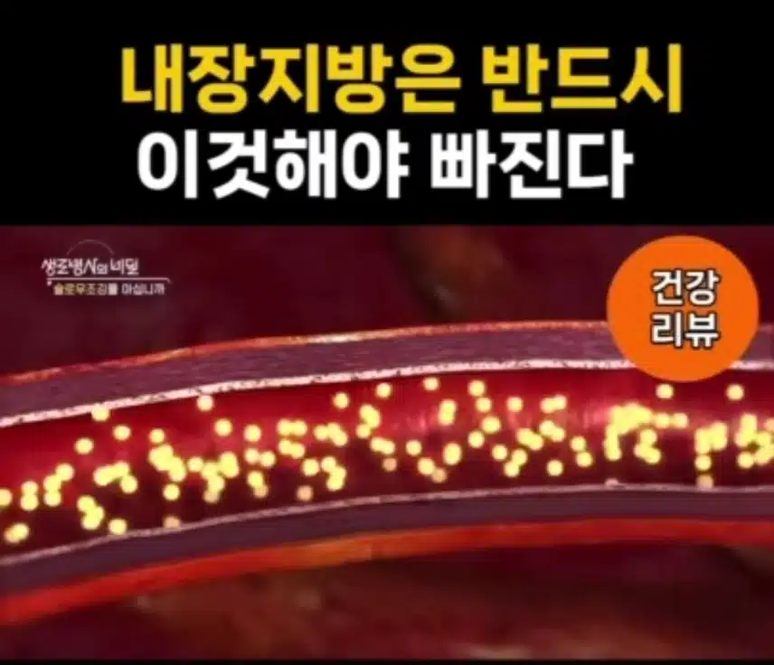 내장 지방은 반드시 이것해야 빠진다.!!!!