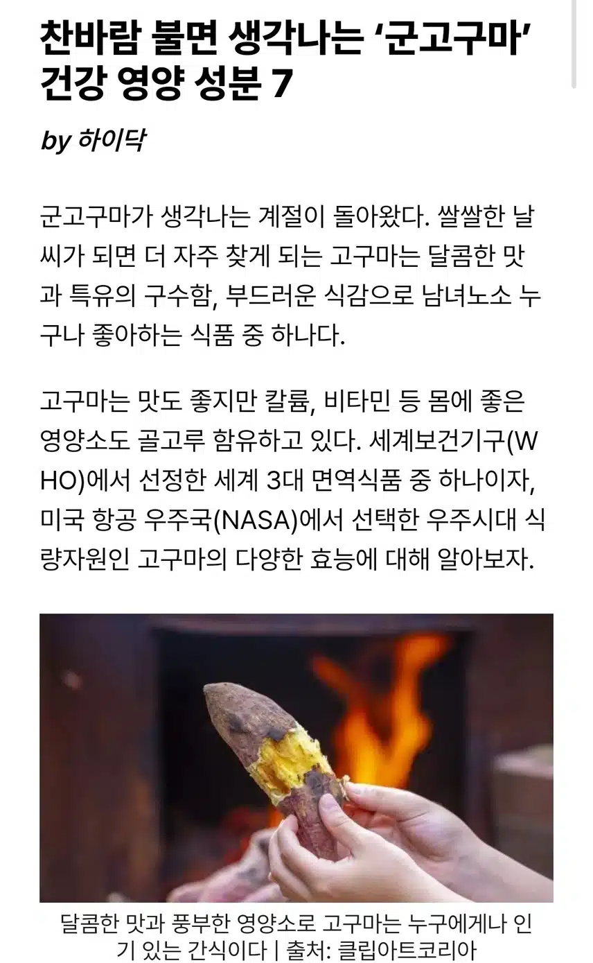 찬바람 불면 '군고구마' 지나칠 수 없죠