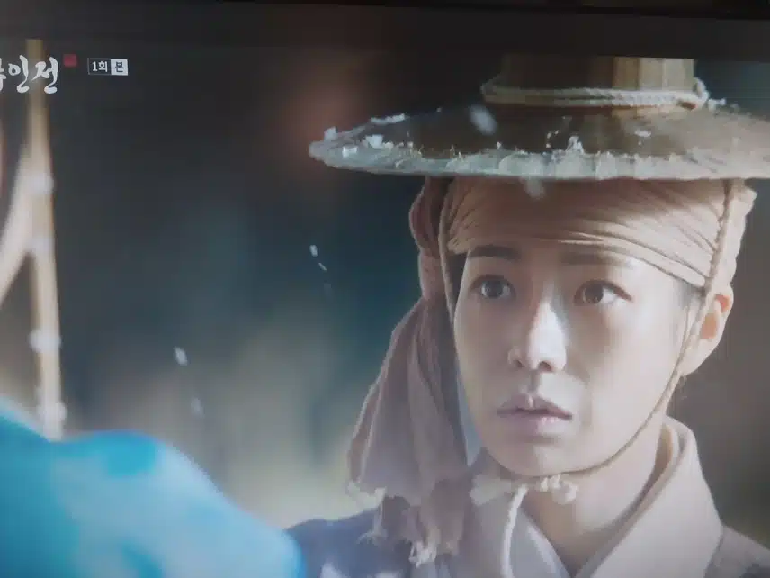 옥씨부인전 배우