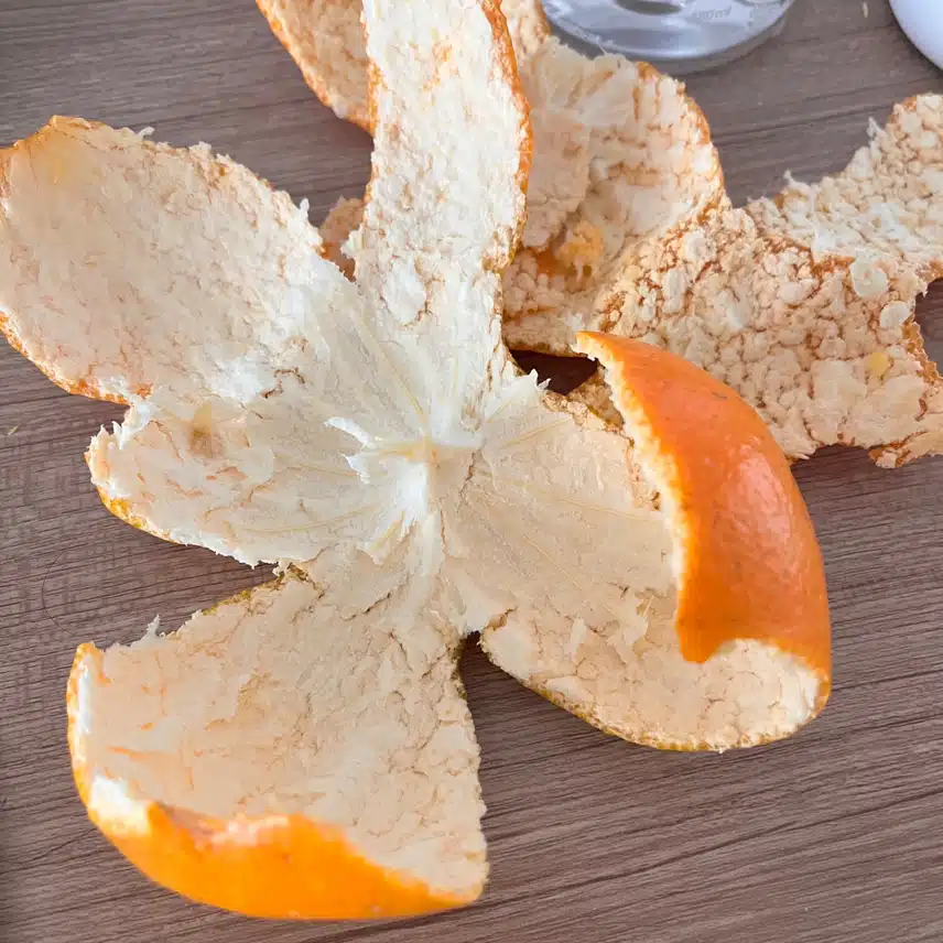 🍊커다란 귤 두개 순삭 