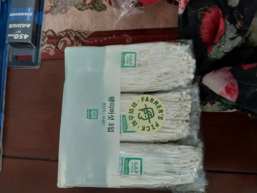 버섯