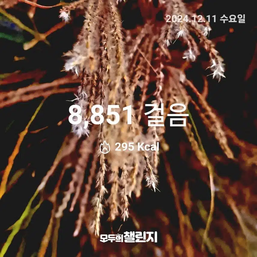 건강을 위하여