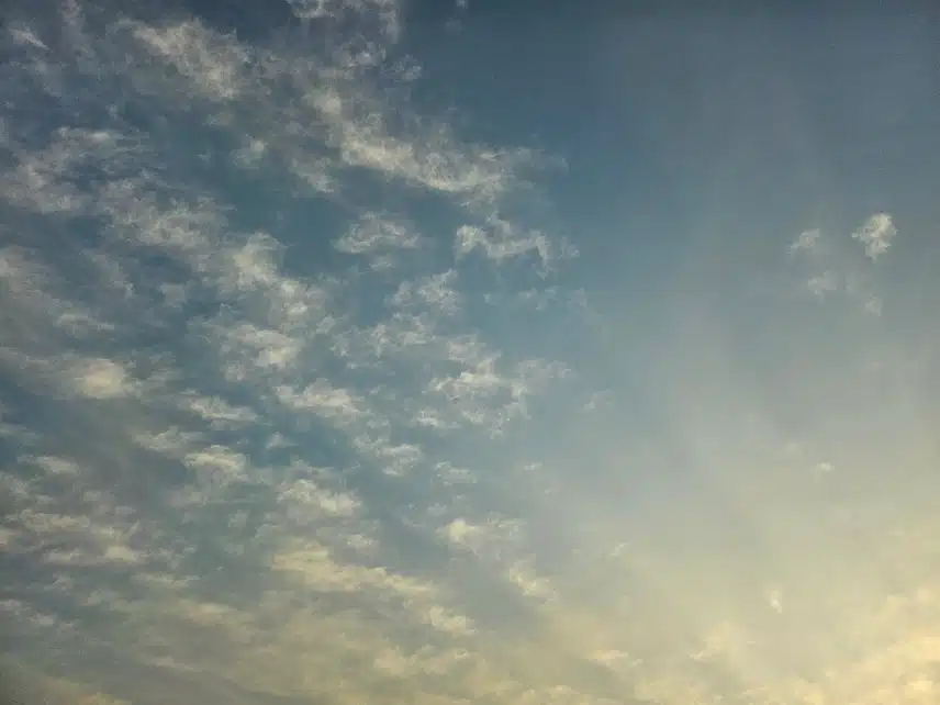 출근길 서둘러요😄💕