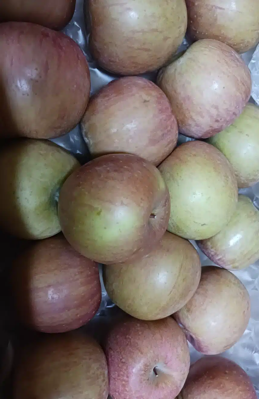 맛있는 사과