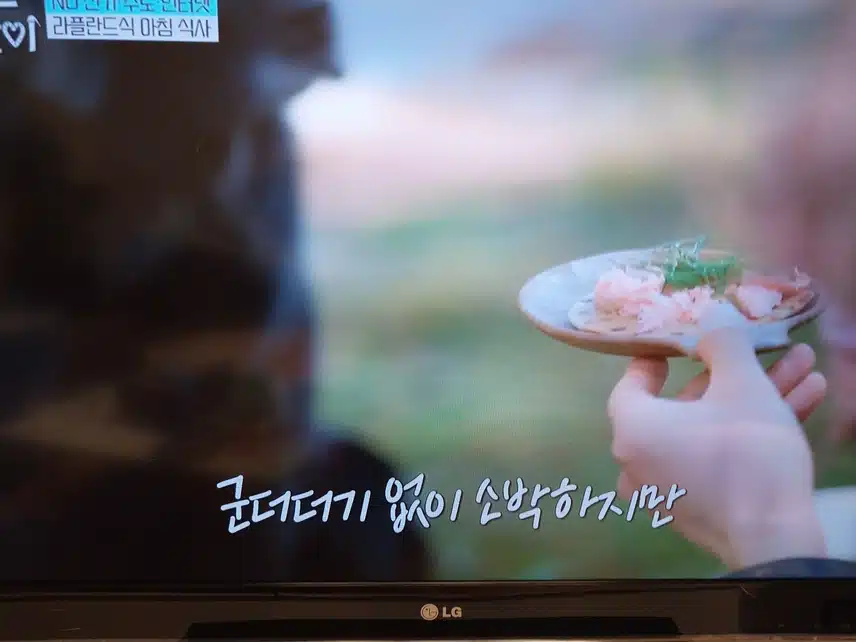 필란드셋방살이 주인장님 요리