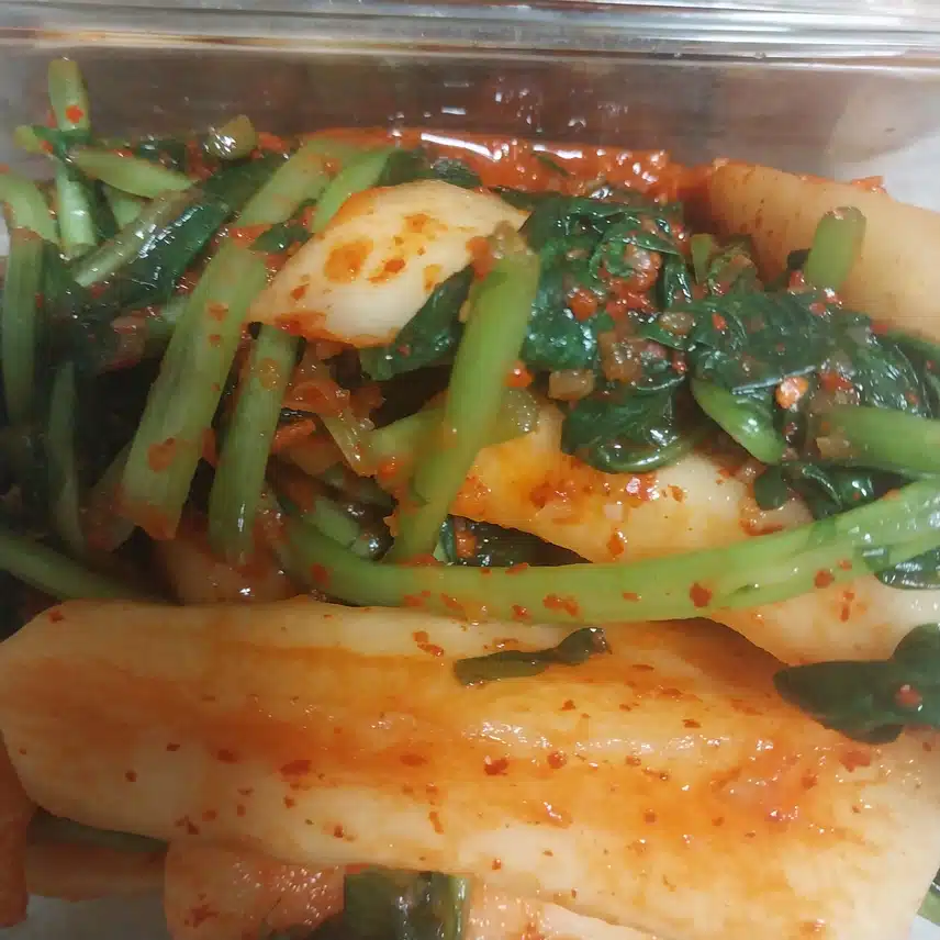 김치왔숑