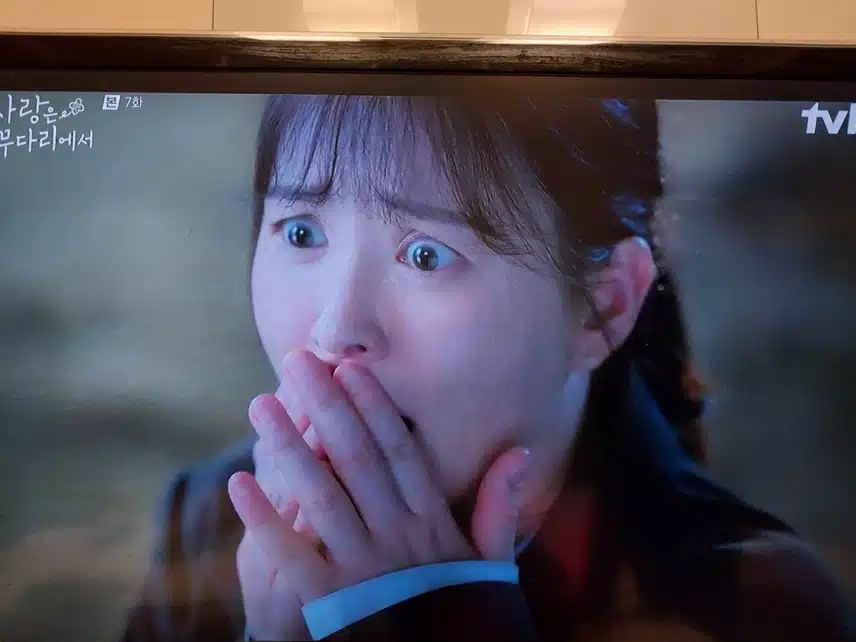 라일락나무 꽃이